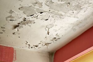 peeling paint on ceiling below roof