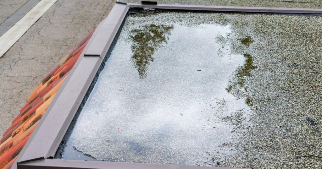 Pooled rainwater sitting on a flat roof membrane, increasing the risk of hidden leaks over time.