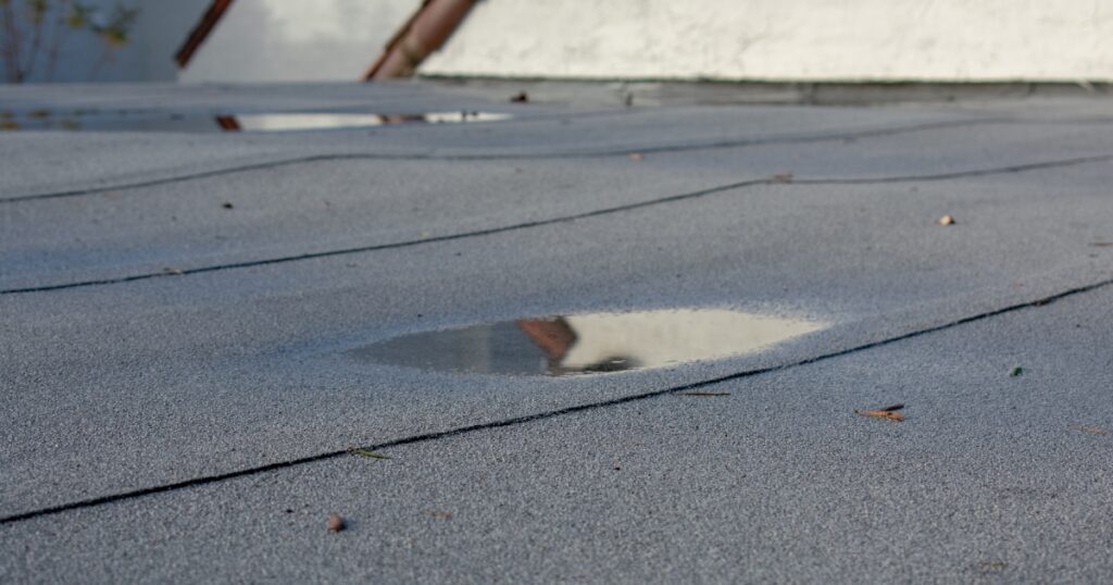 Standing water pooled on a flat roof membrane, a common starting point for an untreated roof leak.