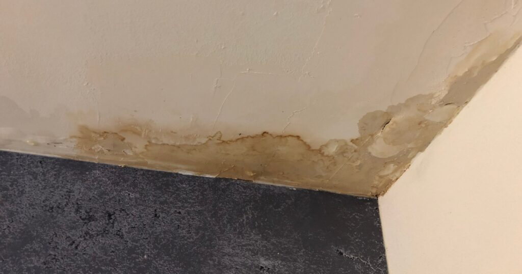 Brown water stains and peeling paint along a ceiling corner caused by an untreated roof leak.