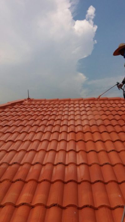Pitch roof (After) - Waterproofing Contractor Singapore