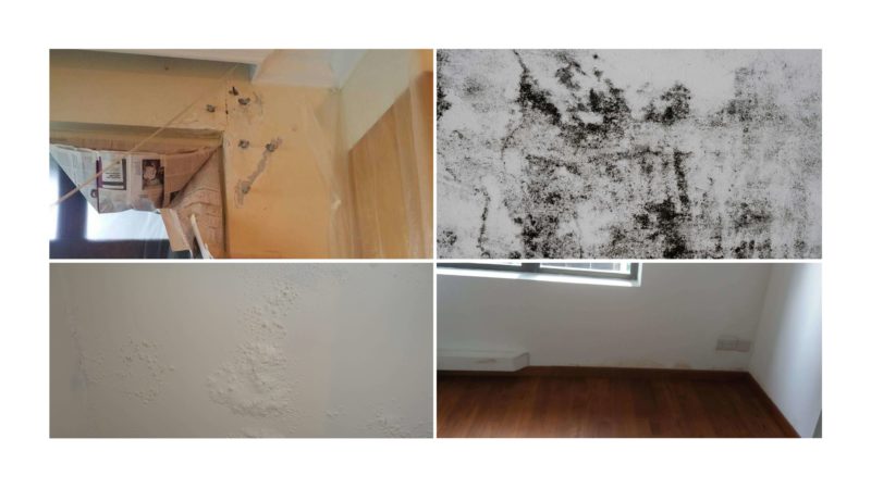 Interior Signs of Water Leakage