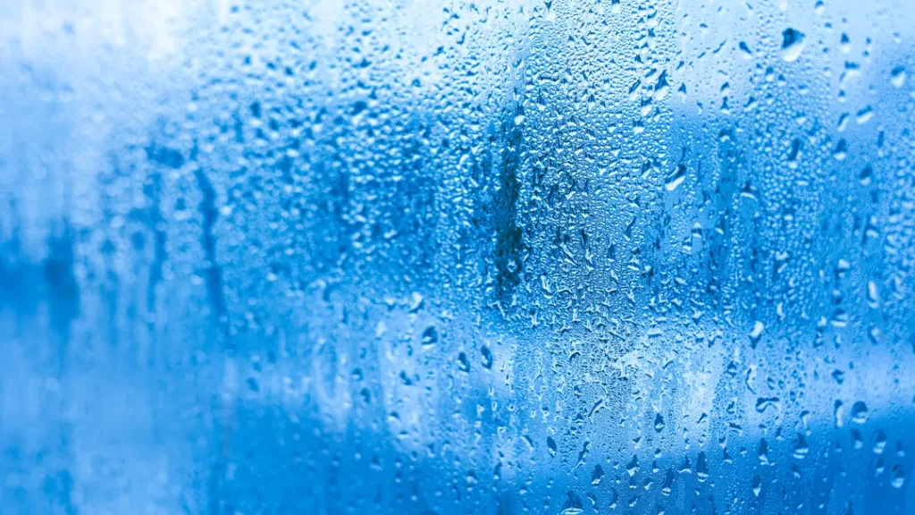 High-Humidity Exposure: An Underestimated Waterproofing Risk