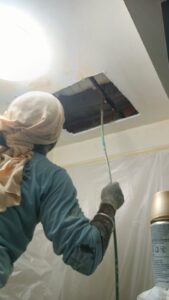 flat roof water ponding