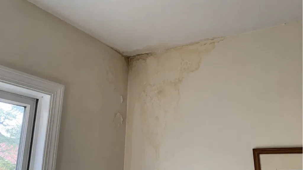 Interior wall corner with water stains and peeling paint from roof water ingress