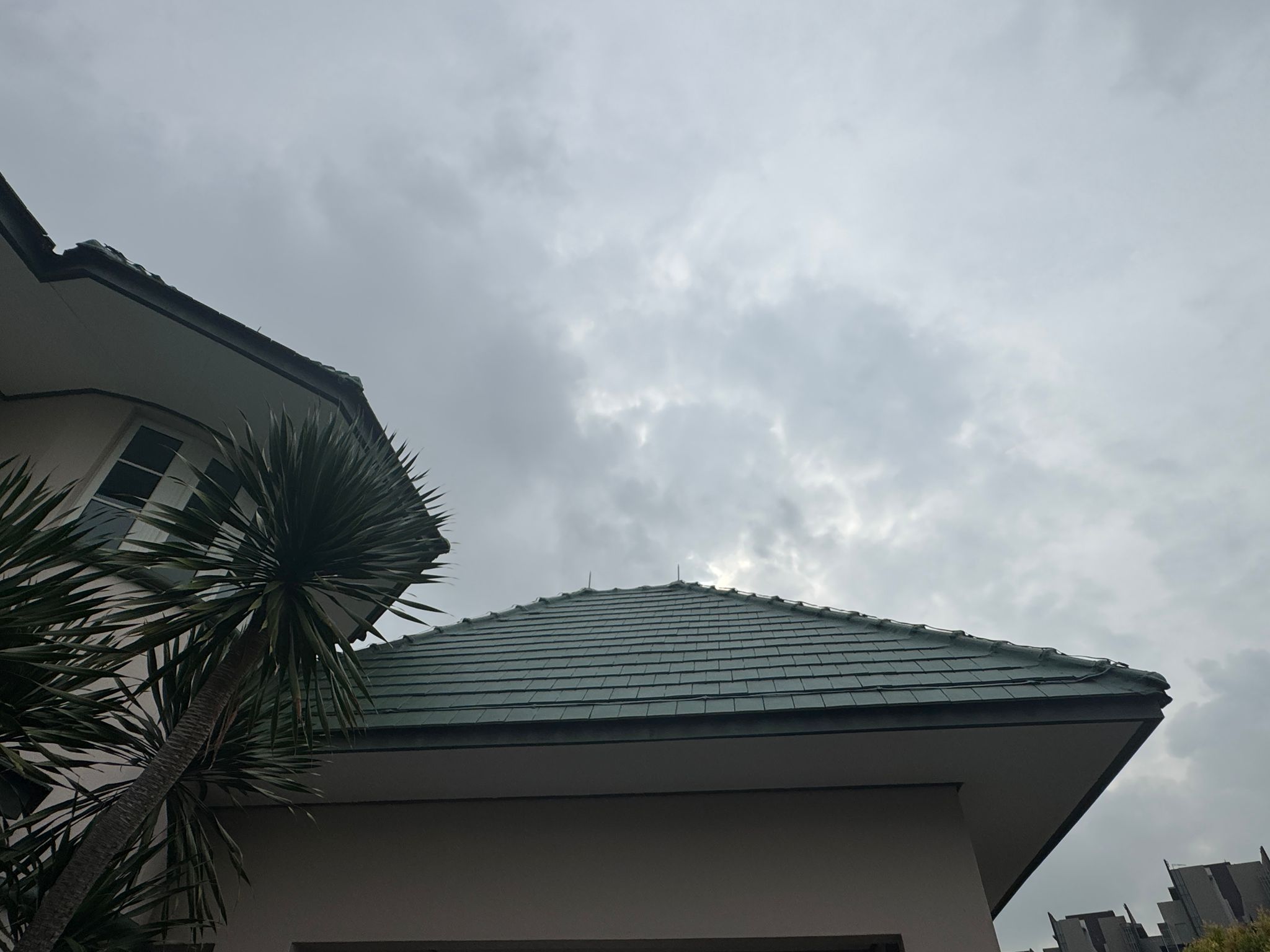 Holland Village - Residential - Pitch Roof Waterproofing after 2