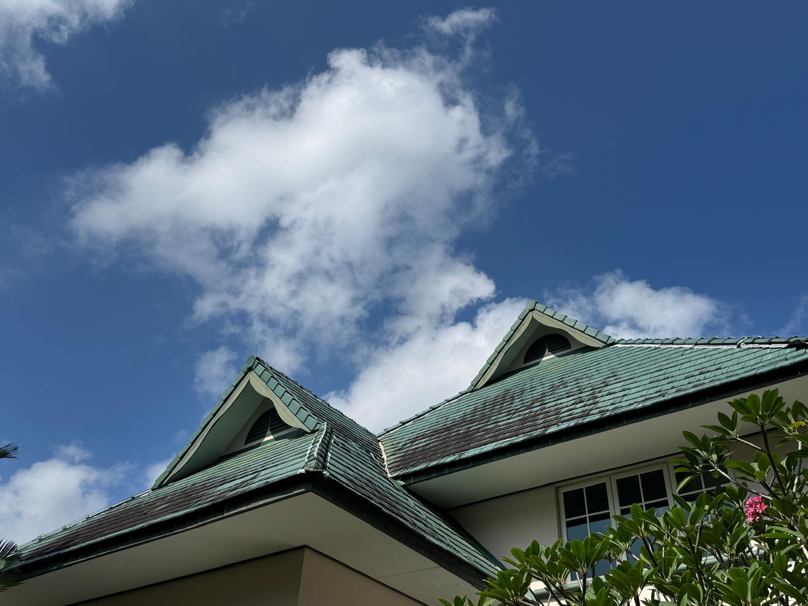 Holland Village - Residential - Pitch Roof Waterproofing Before - 6